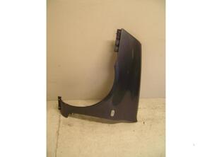 Spatbord RENAULT Clio II (BB, CB), RENAULT Clio III (BR0/1, CR0/1), RENAULT Thalia I (LB0/1/2)