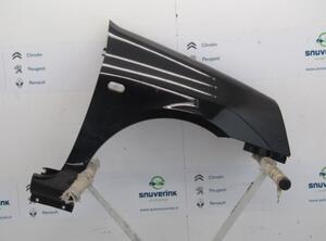 Spatbord RENAULT Clio II (BB, CB), RENAULT Thalia I (LB0/1/2), RENAULT Clio III (BR0/1, CR0/1)