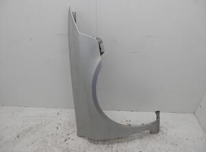 Spatbord RENAULT Laguna II (BG0/1)