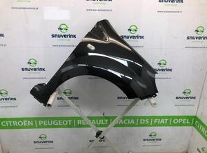 Spatbord RENAULT TWINGO II (CN0_)