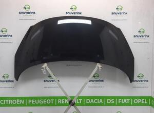 Bonnet PEUGEOT 207 CC (WD_)