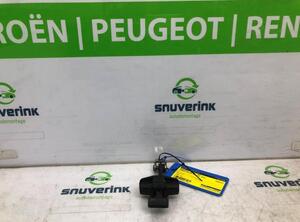 Door Check Strap PEUGEOT BIPPER (AA_)