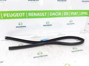 Door Seal PEUGEOT 207 CC (WD)