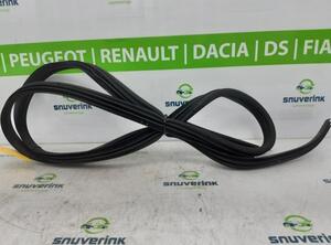 Door Seal RENAULT KANGOO Express (FW0/1_), RENAULT KANGOO / GRAND KANGOO (KW0/1_)