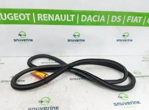 Door Seal CITROËN C3 AIRCROSS II (2R_, 2C_)