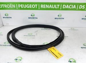 Türgummi links vorne Renault Megane E-Tech  808326510R P20617487