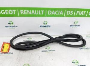 Door Seal CITROËN C3 AIRCROSS II (2R_, 2C_)