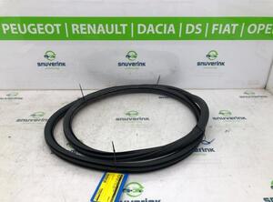 Door Seal PEUGEOT 208 II (UB_, UP_, UW_, UJ_)