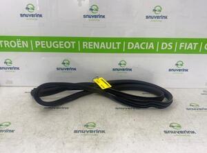 Door Seal RENAULT ZOE (BFM_), RENAULT ZOE Hatchback Van (BFM_)