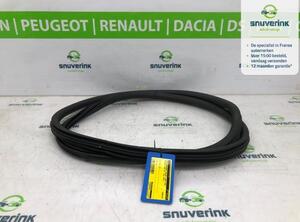 Door Seal PEUGEOT 208 II (UB_, UP_, UW_, UJ_)