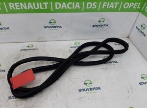 Door Seal CITROËN C5 AIRCROSS (A_)