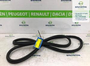 Door Seal PEUGEOT 3008 SUV (MC_, MR_, MJ_, M4_)