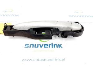 Door Handle RENAULT Clio III Grandtour (KR0/1), RENAULT Clio IV Grandtour (KH)