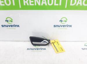 Door Handle RENAULT CLIO V (B7_)