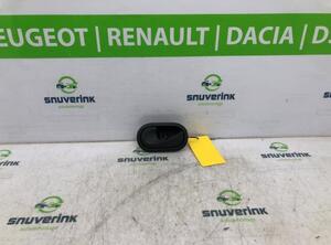 Door Handle RENAULT MASTER III Van (FV)