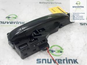 Door Handle RENAULT CLIO V (B7_)