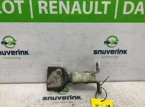 Door Hinge RENAULT Master III Kasten (FV)