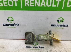 Door Hinge RENAULT Master III Kasten (FV)