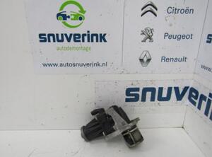 EGR Valve RENAULT Captur I (H5, J5), RENAULT Clio IV (BH)