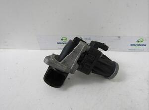 EGR Valve RENAULT Captur I (H5, J5), RENAULT Clio IV (BH)