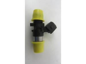 Injector Nozzle RENAULT KANGOO (KC0/1_)