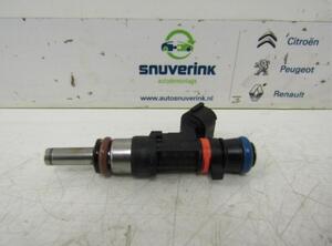 Injector Nozzle RENAULT Captur I (H5, J5), RENAULT Clio IV (BH)