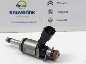 Injector Nozzle RENAULT Captur I (H5, J5), RENAULT Clio IV (BH)