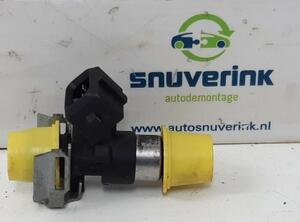 Injector Nozzle RENAULT Clio IV (BH)