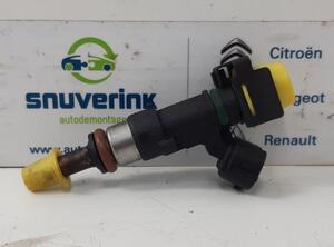 Injector Nozzle RENAULT Captur I (H5, J5), RENAULT Clio IV (BH)