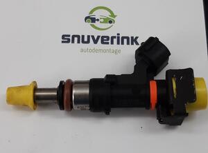 Injector Nozzle RENAULT Captur I (H5, J5), RENAULT Clio IV (BH)