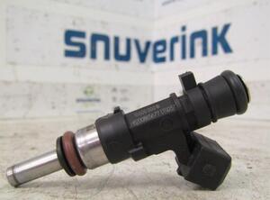 Injector Nozzle RENAULT SCÉNIC III (JZ0/1_), RENAULT GRAND SCÉNIC III (JZ0/1_)