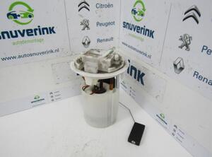 Fuel Pump PEUGEOT 207 CC (WD)