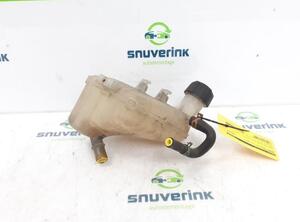 Coolant Expansion Tank RENAULT TWINGO II (CN0_)