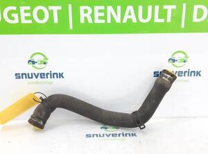 Radiator Hose RENAULT CLIO III (BR0/1, CR0/1), RENAULT CLIO IV (BH_)