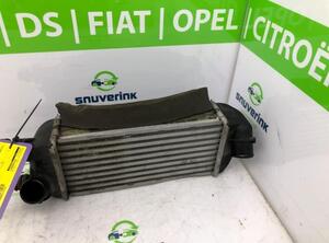 Intercooler FIAT 500 (312), FIAT 500 C (312)