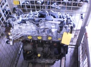 P2558590 Motor ohne Anbauteile (Diesel) RENAULT Scenic II (JM) M9R700