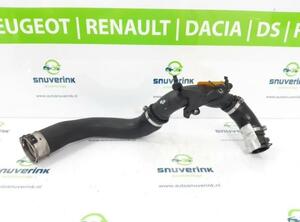 Charge Air Hose RENAULT Captur I (H5, J5), RENAULT Clio IV (BH)