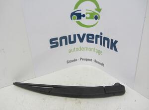 Wiper Arm RENAULT Twingo II (CN0)