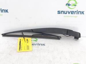 Wiper Arm RENAULT Twingo II (CN0)