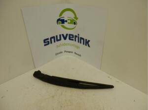 Wiper Arm RENAULT TWINGO II (CN0_)