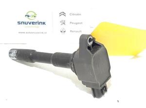 Ignition Coil RENAULT Captur I (H5, J5), RENAULT Clio IV (BH)