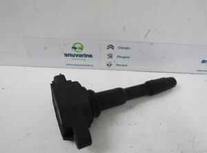 Ignition Coil RENAULT Twingo III (BCM)