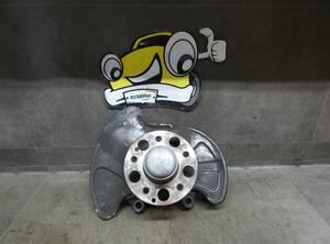 Stub Axle MERCEDES-BENZ SLK (R171)