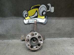 Stub Axle MERCEDES-BENZ A-CLASS (W169)