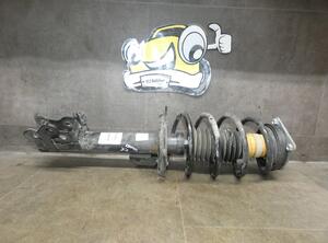 Suspension Strut MERCEDES-BENZ B-CLASS (W245)