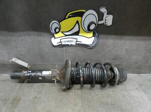 Suspension Strut VW GOLF IV Variant (1J5)