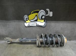 Suspension Strut VW PASSAT Variant (3B6)