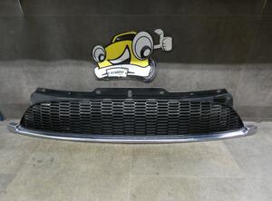 Radiator Grille MINI MINI (R56)