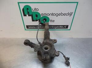 Stub Axle RENAULT CLIO III (BR0/1, CR0/1), RENAULT CLIO IV (BH_)