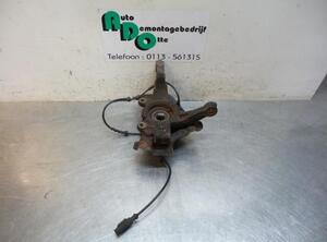 Stub Axle FIAT GRANDE PUNTO (199_), FIAT PUNTO EVO (199_), FIAT PUNTO (199_)